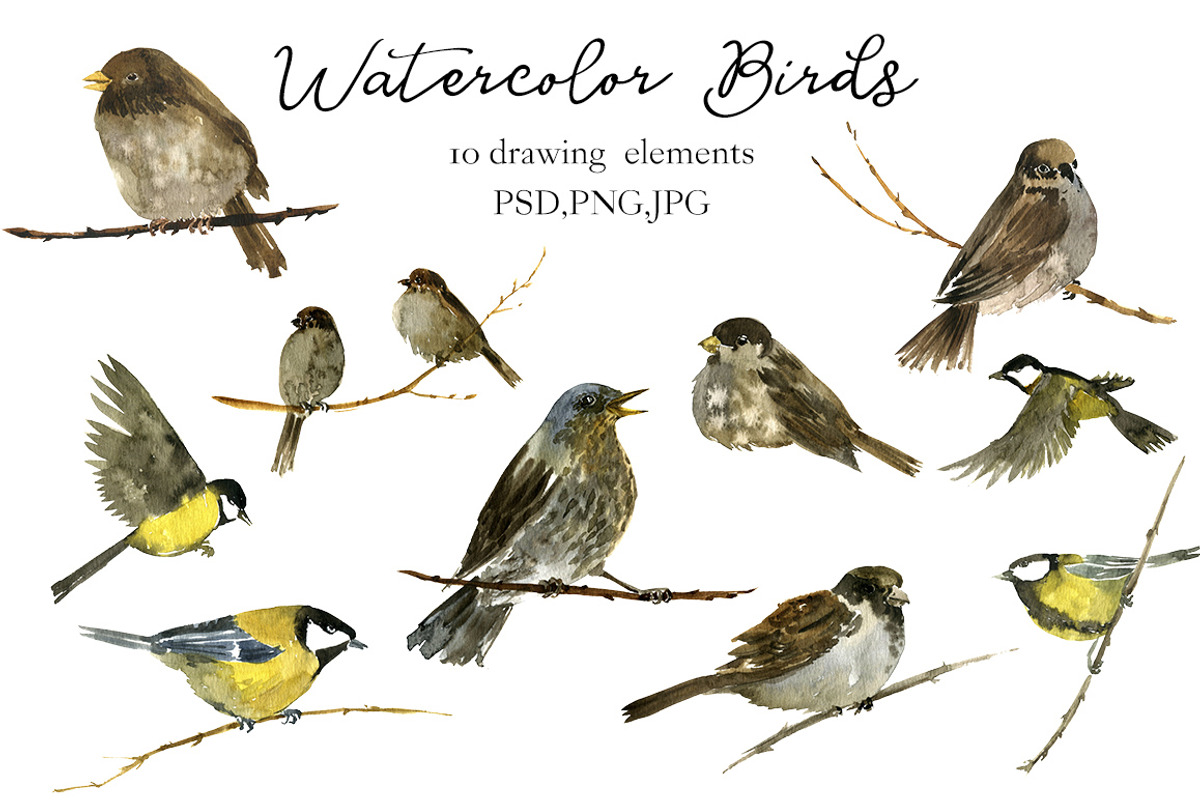 Watercolor Birds, an Animal Illustration by cat_arch_angel (Photo 2 of 2)
