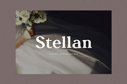 Molnica – Stylish Modern Serif Font, a Serif Font by BrandSemut (Thumbnail 6 of 8)
