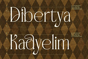 Badgeils Modern Alternate Serif, a Serif Font by timelesstype.co (Thumbnail 15 of 20)