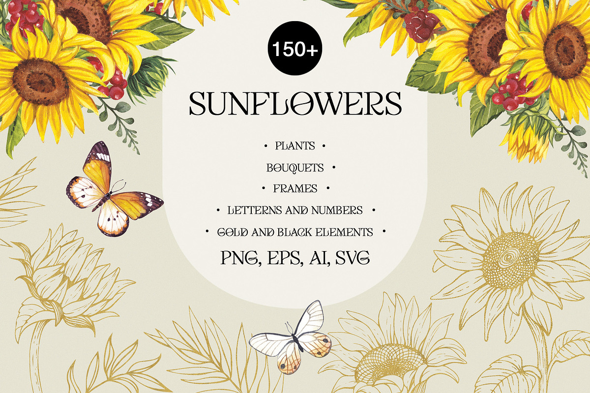 Sunflowers PNG, EPS, AI, SVG, a Graphic by Elena_Sedova (Photo 1 of 9)