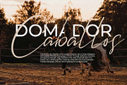 Pastedy – Modern Luxury Script Font, a Script Font by Black Junst (Thumbnail 7 of 10)