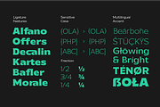 Galpike Sans - Variable Font, a Sans Serif Font by Letterhend Studio (Thumbnail 6 of 9)