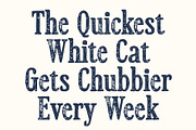 CS Miguela Stamp, a Serif Font by Craft Supply Co. (Thumbnail 2 of 8)