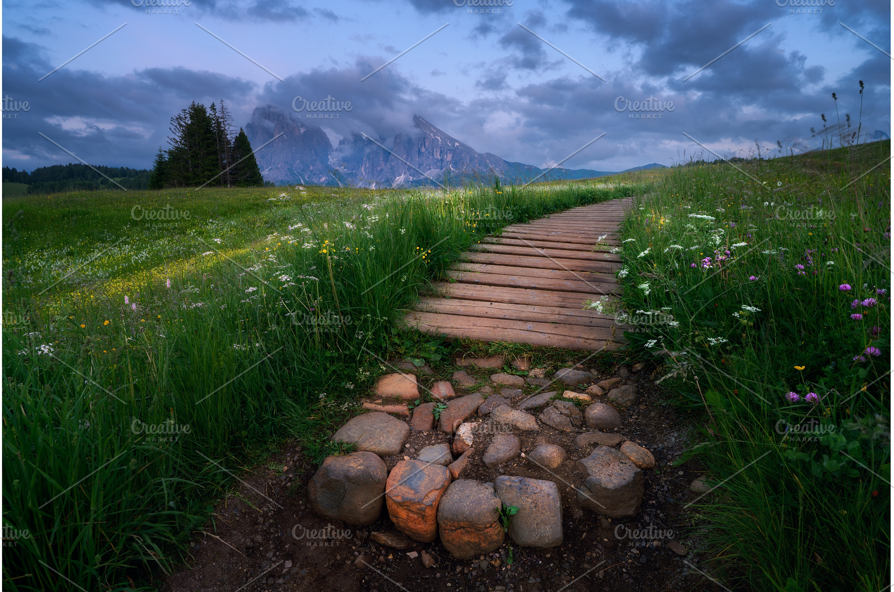Scenic landscape with a wooden path, a Nature Photo by den-belitsky
