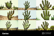 Cactus. 23 images, a Nature Photo by Handmadefont (Thumbnail 4 of 9)