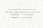 Armeria - serif font, a Serif Font by Art pages (Thumbnail 5 of 8)