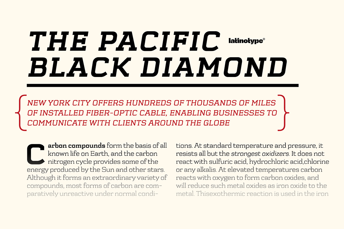 Schwager, a Slab Serif Font by Latinotype (Photo 4 of 5)