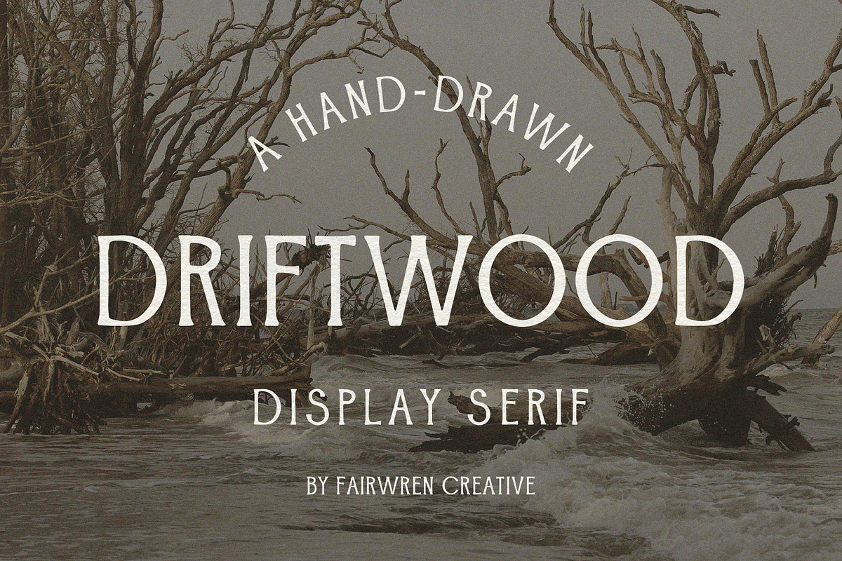 Driftwood, a Serif Font by Fairwren Creative (Photo 1 of 6)