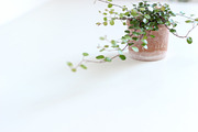 Neutral Collection | Styled Stock, a Business Photo by Chalking Up Stock (Thumbnail 6 of 25)
