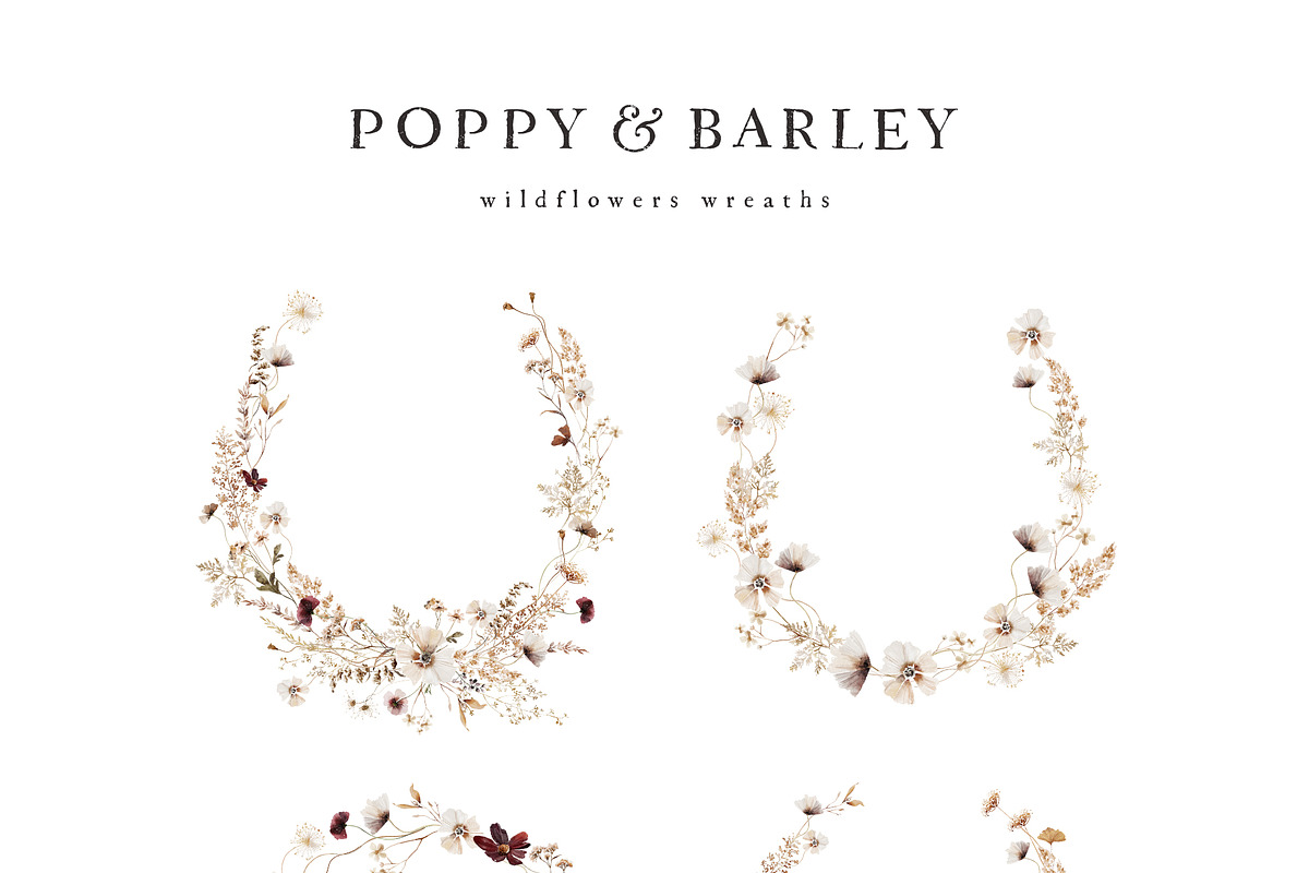 POPPY & BARLEY Autumn Wildflowers, a Seasonal Illustration by Muse Artist (Photo 7 of 14)