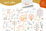 Woodland Animals Pack, an Animal Illustration by MaljukArt (Thumbnail 4 of 15)