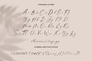columbia, a Script Font by Teweka (Thumbnail 10 of 12)