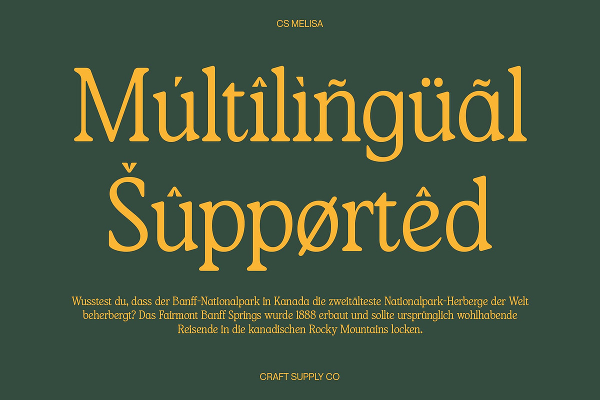 CS Melisa – Elegant Font, a Serif Font by Craft Supply Co. (Photo 3 of 8)