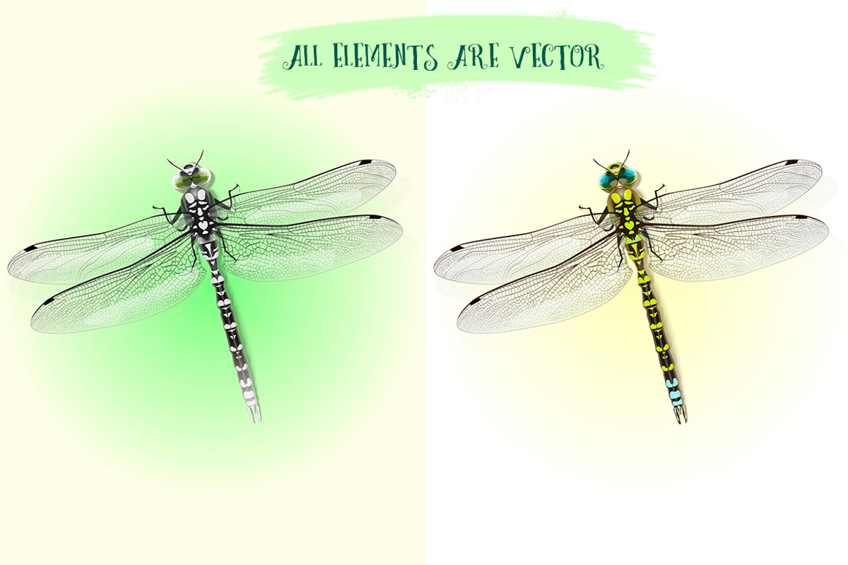 Dragonfly inspiration, an Object Graphic by Indie Khisa (Photo 2 of 7)