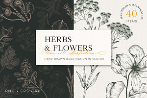 Herb & Flower Line Art in Vector