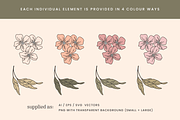 Garden Floral Vector Illustrations, a Decorative Illustration by Emma Webb Studio (Thumbnail 4 of 9)