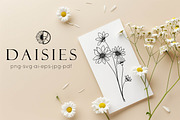 Daisy Procreate Stamp, a Brush Add-On by Dervik Art Store (Thumbnail 5 of 6)