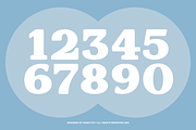 Lamonik Display Serif Font, a Serif Font by Rasio Studio (Thumbnail 4 of 11)