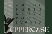 Rollgates Fabulous, a Font by Cotbada_studio (Thumbnail 10 of 12)