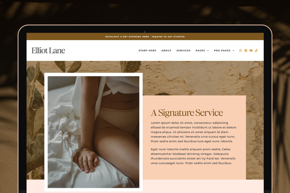 Elliot WP Theme with free Elementor, a WordPress Template by Pix & Hue (Photo 4 of 6)