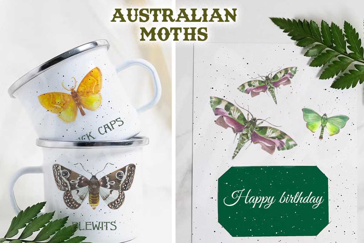 Australian Moths hand painted, an Animal Illustration by FITALARTSNEDIGI (Photo 7 of 8)