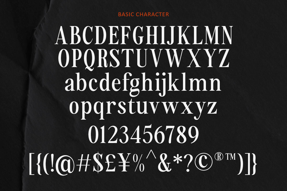 Sailor Mirage | 16 Fonts, a Serif Font by Skinny Type (Photo 14 of 15)