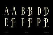 LT Serif - Modern Serif Font, a Serif Font by limitype (Thumbnail 3 of 9)