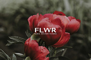 Norfolk | A Traditional Sans, a Sans Serif Font by Jen Wagner Co (Thumbnail 9 of 15)