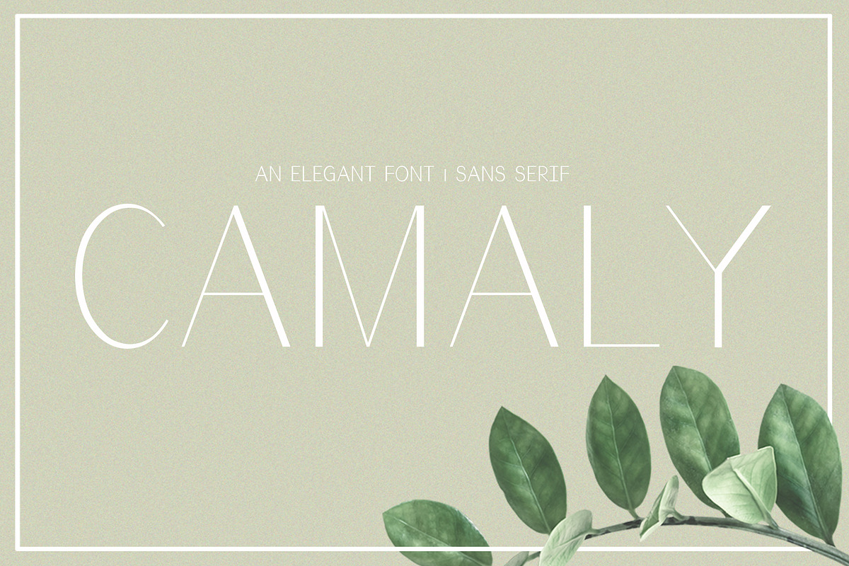 Camaly | san serif, a Sans Serif Font by white supply (Photo 1 of 5)