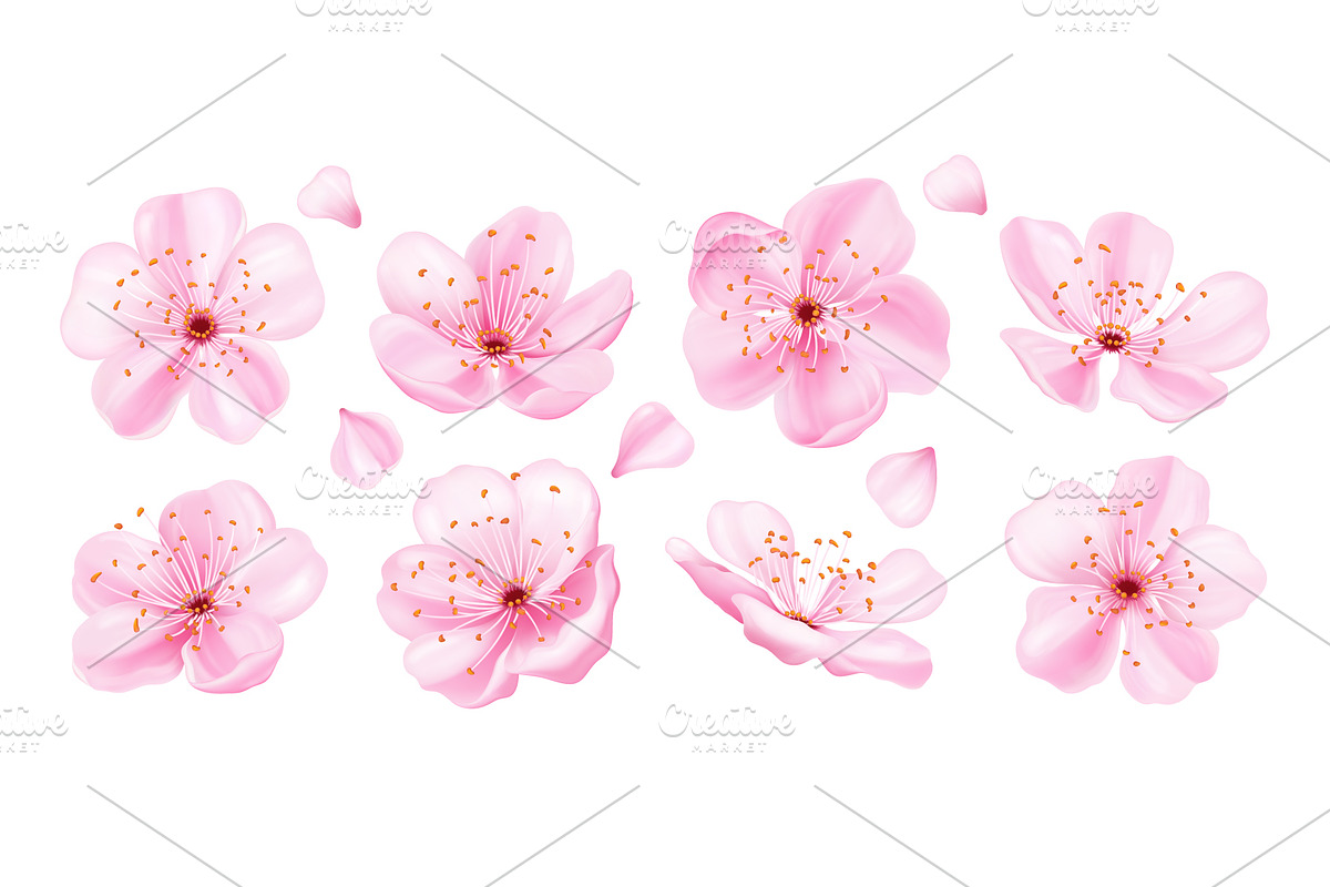 Pink sakura flowers collection., an Object Illustration by Yayasya (Photo 1 of 3)