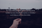 Myellies Pro - Handwriting Font, a Handwritten Font by portype (Thumbnail 4 of 5)