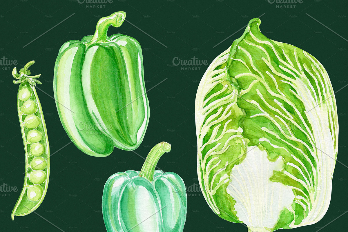 Green Watercolor Vegetables Set, a Food Illustration by Olexandra Mur (Photo 8 of 9)