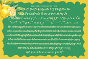 Lemon Talk Modern Handbrush Font, a Script Font by stylishtype.co (Thumbnail 15 of 15)