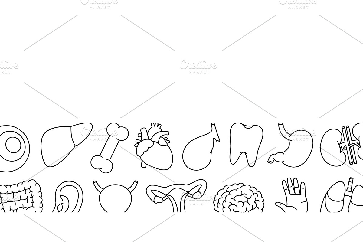 Human organs horizontal banner, an Object Illustration by GraphiShop