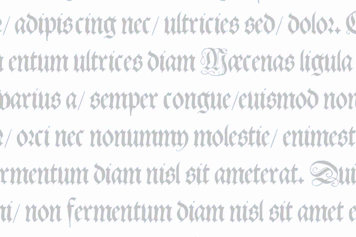 1543 German Deluxe Complete Set preview 7