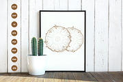Pineapple engraving style hand drawn, a Food Illustration by vectorartificer (Thumbnail 5 of 6)