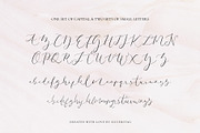 Amelie - Chic & Elegant Script Font, a Script Font by SilverStag Type Foundry (Thumbnail 20 of 23)