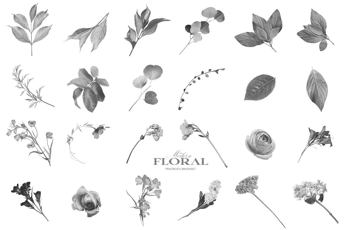 Modern Floral Procreate Brushes, a Brush Add-On by Eclectic Anthology