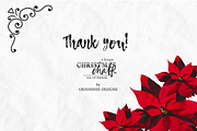 Christmas Chalk Procreate Brushes, a Brush Add-On by OkayAnnie Designs (Thumbnail 14 of 14)