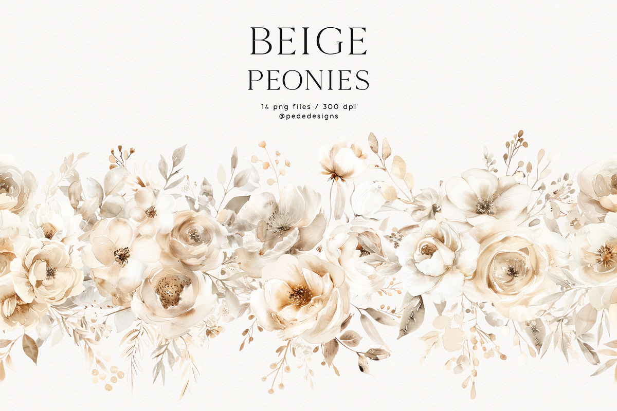 Beige Peonies, a Decorative Illustration by PeDe Designs (Photo 8 of 9)
