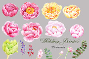 Watercolor clipart Wedding peonies, an Illustration by AqwaColor (Thumbnail 3 of 4)