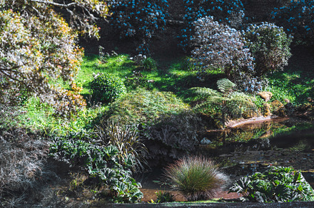 Blooming garden by reflective pond