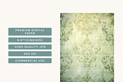 Vintage Grungy Damask Digital Paper, a Background Graphic by BusyDaydesign (Thumbnail 7 of 9)