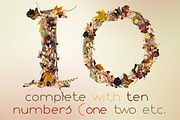 NT Fall -a multicolor photo/typeface, an Illustration by NovoTypo (Thumbnail 5 of 5)
