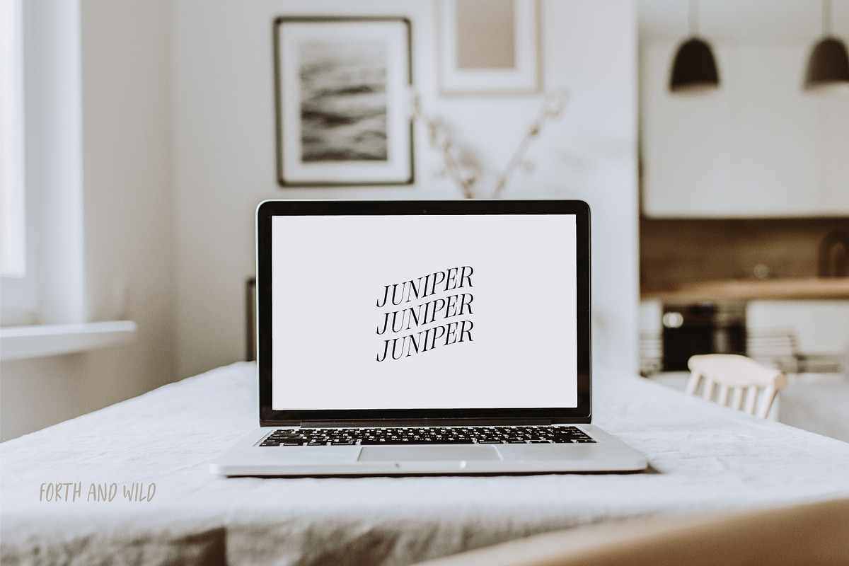 Minimal Logo Kit For Illustrator, a Branding & Logo Template by Forth and Wild (Photo 9 of 14)