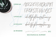 STARLIGHTS | A Classy Script, a Script Font by AMINMARIO (Thumbnail 10 of 11)