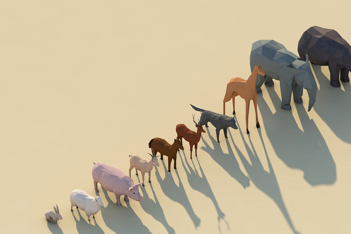 Low Poly Forest Animals Pack 1, an Animal 3D Model by Anton Moek (Photo 1 of 12)
