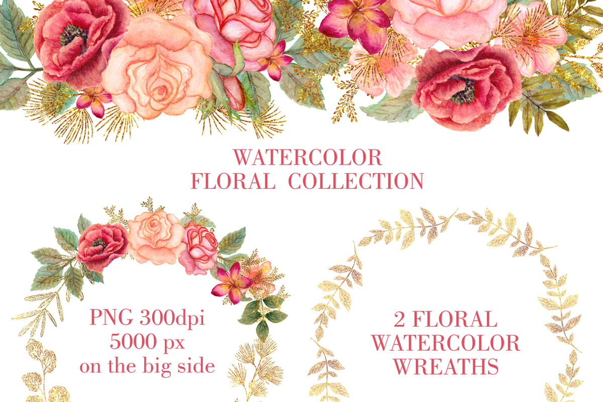 Watercolor floral collection, an Illustration by antuanetto (Photo 2 of 3)