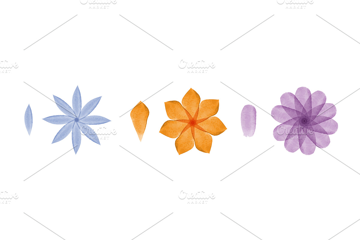 Watercolor flower petals and various, an Object Illustration by okskukuruza