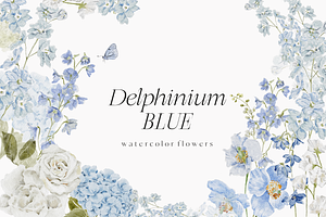 Delphinium Blue Delicate Flowers